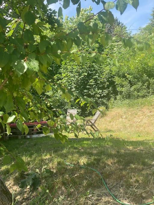 Villa Les Terrasses Dans La Nature Avec Piscine A 2 Pas De Lyon, Metro A 15Mn A Pied Pour Lyon Centre En 10Mn Ou Bus A 300M Pour Lyon Centre Oullins Dış mekan fotoğraf